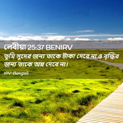 Picture 02 - লেবীয়া 25:37 BENIRV - তুমি সুদের জন্য - Bible Verse Picture