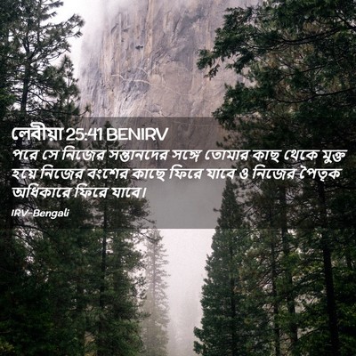 Picture 02 - লেবীয়া 25:41 BENIRV - পরে সে নিজের - Bible Verse Picture