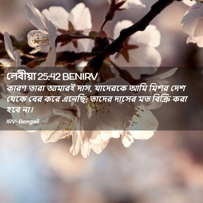 Picture 02 - লেবীয়া 25:42 BENIRV - কারণ তারা আমারই - Bible Verse Picture