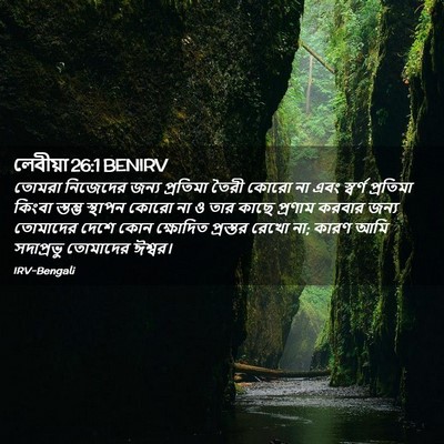 Picture 02 - লেবীয়া 26:1 BENIRV - তোমরা নিজেদের - Bible Verse Picture