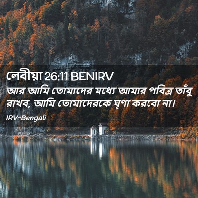 Picture 02 - লেবীয়া 26:11 BENIRV - আর আমি তোমাদের - Bible Verse Picture