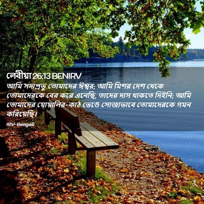 Picture 02 - লেবীয়া 26:13 BENIRV - আমি সদাপ্রভু - Bible Verse Picture