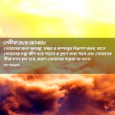 Picture 02 - লেবীয়া 26:16 BENIRV - তোমাদের জন্য - Bible Verse Picture