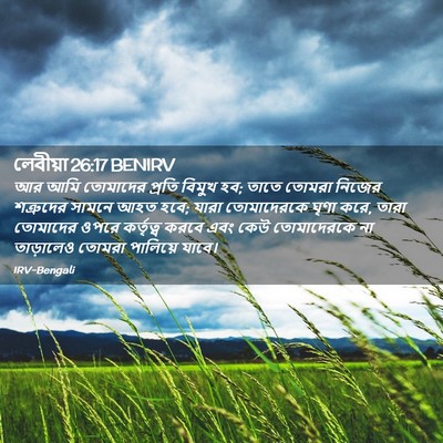 Picture 02 - লেবীয়া 26:17 BENIRV - আর আমি তোমাদের - Bible Verse Picture