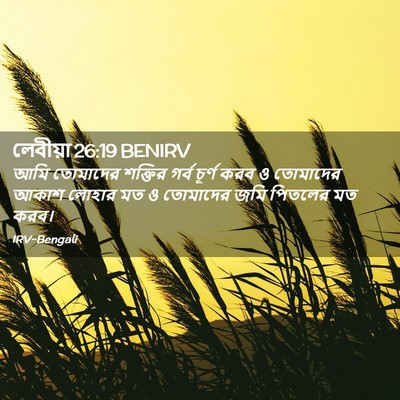 Picture 02 - লেবীয়া 26:19 BENIRV - আমি তোমাদের - Bible Verse Picture