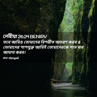 Picture 02 - লেবীয়া 26:24 BENIRV - তবে আমিও তোমাদের - Bible Verse Picture