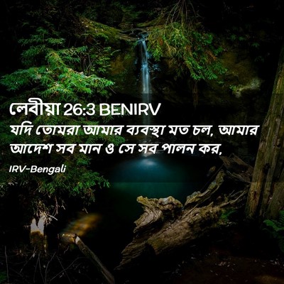 Picture 02 - লেবীয়া 26:3 BENIRV - যদি তোমরা আমার - Bible Verse Picture