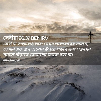 Picture 02 - লেবীয়া 26:37 BENIRV - কেউ না তাড়ালেও - Bible Verse Picture