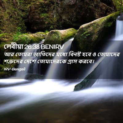 Picture 02 - লেবীয়া 26:38 BENIRV - আর তোমরা জাতিদের - Bible Verse Picture
