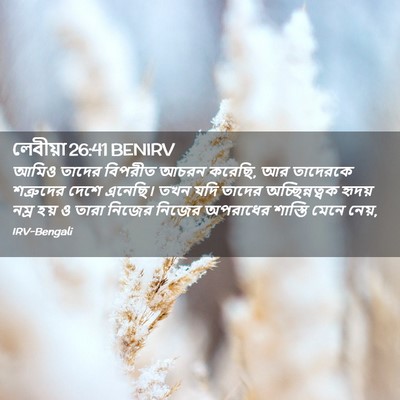 Picture 02 - লেবীয়া 26:41 BENIRV - আমিও তাদের বিপরীত - Bible Verse Picture