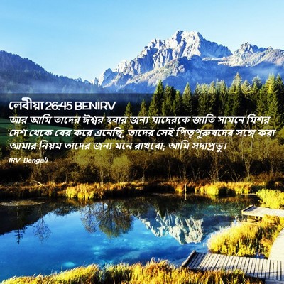 Picture 02 - লেবীয়া 26:45 BENIRV - আর আমি তাদের ঈশ্বর - Bible Verse Picture