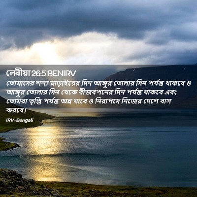 Picture 02 - লেবীয়া 26:5 BENIRV - তোমাদের শস্য - Bible Verse Picture