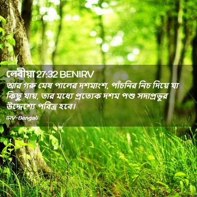 Picture 02 - লেবীয়া 27:32 BENIRV - আর গরু মেষ পালের - Bible Verse Picture