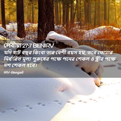 Picture 02 - লেবীয়া 27:7 BENIRV - যদি ষাট বছর কিংবা - Bible Verse Picture