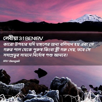 Picture 02 - লেবীয়া 3:1 BENIRV - কারো উপহার যদি - Bible Verse Picture