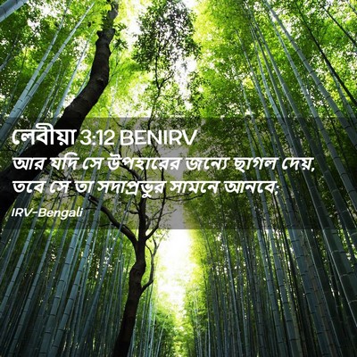 Picture 02 - লেবীয়া 3:12 BENIRV - আর যদি সে উপহারের - Bible Verse Picture