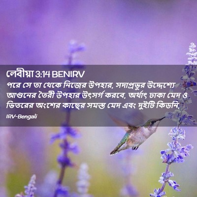 Picture 02 - লেবীয়া 3:14 BENIRV - পরে সে তা থেকে - Bible Verse Picture