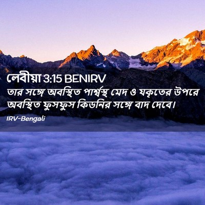 Picture 02 - লেবীয়া 3:15 BENIRV - তার সঙ্গে অবস্থিত - Bible Verse Picture