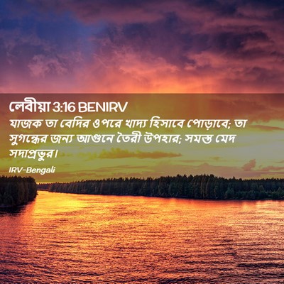 Picture 02 - লেবীয়া 3:16 BENIRV - যাজক তা বেদির ওপরে - Bible Verse Picture