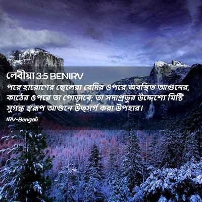 Picture 02 - লেবীয়া 3:5 BENIRV - পরে হারোণের - Bible Verse Picture