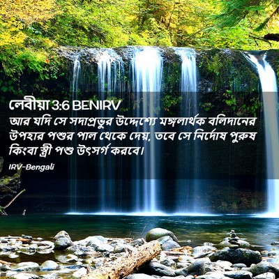 Picture 02 - লেবীয়া 3:6 BENIRV - আর যদি সে - Bible Verse Picture