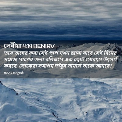 Picture 02 - লেবীয়া 4:14 BENIRV - তবে তাদের করা সেই - Bible Verse Picture