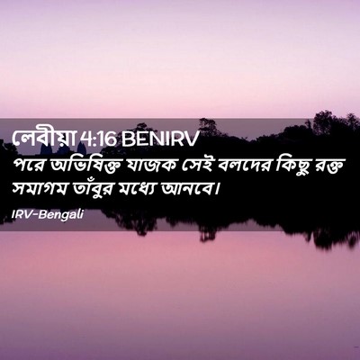 Picture 02 - লেবীয়া 4:16 BENIRV - পরে অভিষিক্ত যাজক - Bible Verse Picture