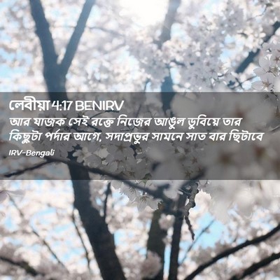 Picture 02 - লেবীয়া 4:17 BENIRV - আর যাজক সেই রক্তে - Bible Verse Picture
