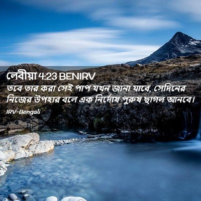 Picture 02 - লেবীয়া 4:23 BENIRV - তবে তার করা সেই পাপ - Bible Verse Picture