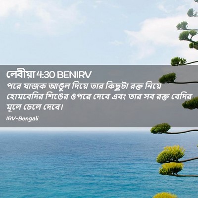 Picture 02 - লেবীয়া 4:30 BENIRV - পরে যাজক আঙুল - Bible Verse Picture