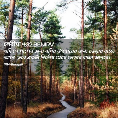 Picture 02 - লেবীয়া 4:32 BENIRV - যদি সে পাপের জন্য - Bible Verse Picture