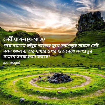 Picture 02 - লেবীয়া 4:4 BENIRV - পরে সমাগম তাঁবুর - Bible Verse Picture