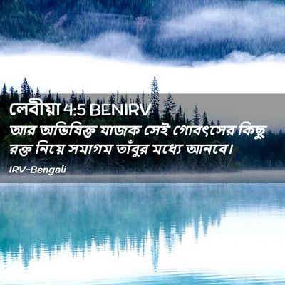 Picture 02 - লেবীয়া 4:5 BENIRV - আর অভিষিক্ত যাজক - Bible Verse Picture
