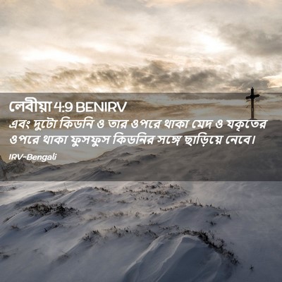 Picture 02 - লেবীয়া 4:9 BENIRV - এবং দুটো কিডনি ও - Bible Verse Picture