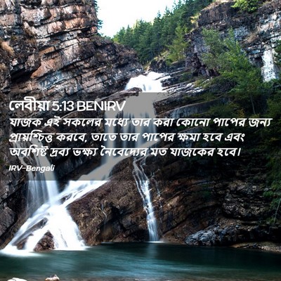 Picture 02 - লেবীয়া 5:13 BENIRV - যাজক এই সকলের - Bible Verse Picture