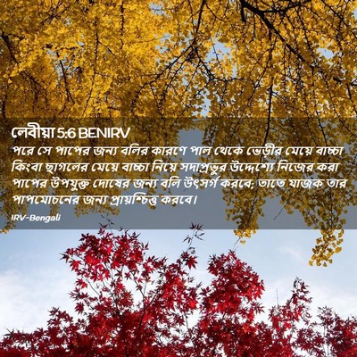 Picture 02 - লেবীয়া 5:6 BENIRV - পরে সে পাপের জন্য - Bible Verse Picture