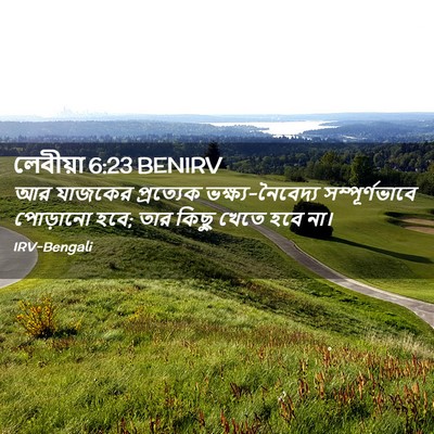 Picture 02 - লেবীয়া 6:23 BENIRV - আর যাজকের - Bible Verse Picture