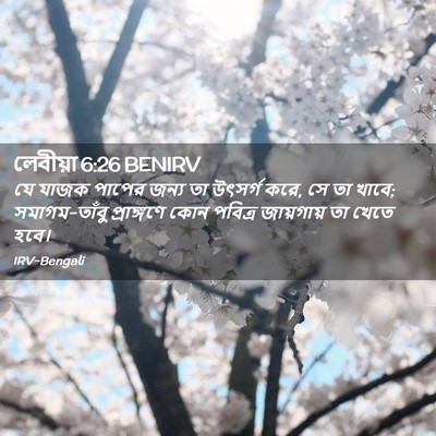 Picture 02 - লেবীয়া 6:26 BENIRV - যে যাজক পাপের জন্য - Bible Verse Picture