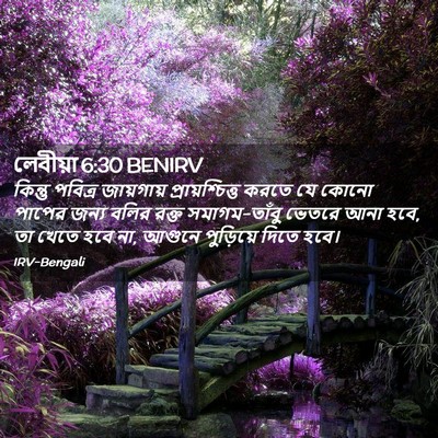 Picture 02 - লেবীয়া 6:30 BENIRV - কিন্তু পবিত্র - Bible Verse Picture