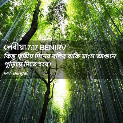 Picture 02 - লেবীয়া 7:17 BENIRV - কিন্তু তৃতীয় - Bible Verse Picture