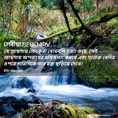 Picture 02 - লেবীয়া 7:2 BENIRV - যে জায়গায় - Bible Verse Picture