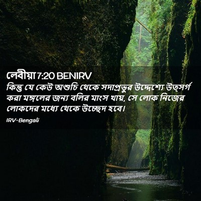 Picture 02 - লেবীয়া 7:20 BENIRV - কিন্তু যে কেউ - Bible Verse Picture