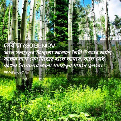 Picture 02 - লেবীয়া 7:30 BENIRV - ফলে সদাপ্রভুর - Bible Verse Picture