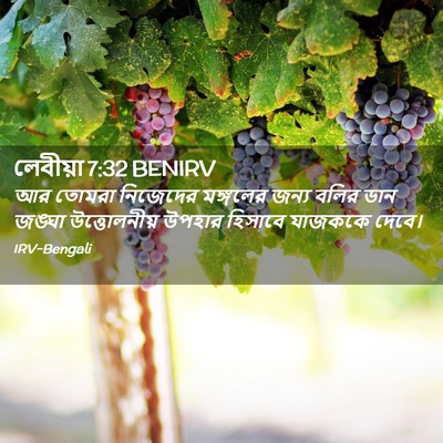Picture 02 - লেবীয়া 7:32 BENIRV - আর তোমরা নিজেদের - Bible Verse Picture