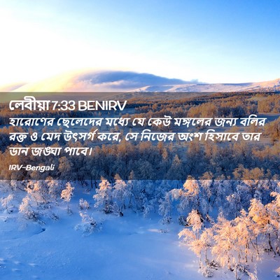 Picture 02 - লেবীয়া 7:33 BENIRV - হারোণের ছেলেদের - Bible Verse Picture