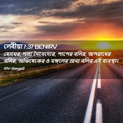 Picture 02 - লেবীয়া 7:37 BENIRV - হোমের, শস্য - Bible Verse Picture