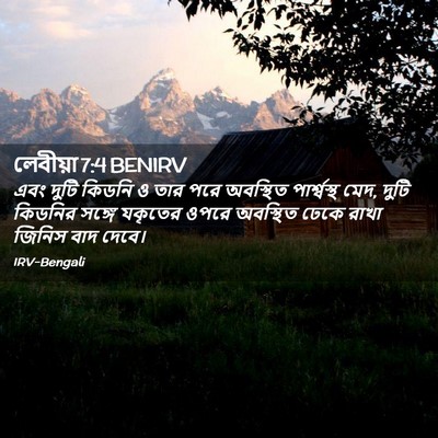 Picture 02 - লেবীয়া 7:4 BENIRV - এবং দুটি কিডনি ও - Bible Verse Picture