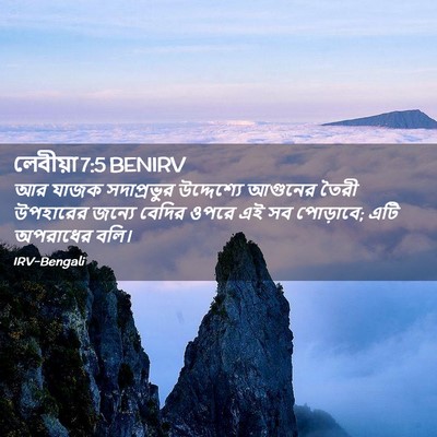 Picture 02 - লেবীয়া 7:5 BENIRV - আর যাজক সদাপ্রভুর - Bible Verse Picture
