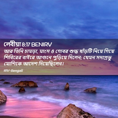 Picture 02 - লেবীয়া 8:17 BENIRV - আর তিনি চামড়া, - Bible Verse Picture