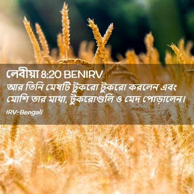 Picture 02 - লেবীয়া 8:20 BENIRV - আর তিনি মেষটি - Bible Verse Picture
